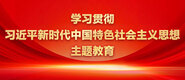 欧美老妇女草逼视频免费看学习贯彻习近平新时代中国特色社会主义思想主题教育_fororder_ad-371X160(2)